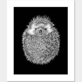 Hedgehog Posters and Art